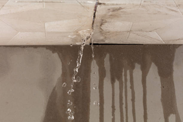Professional Water Damage Repair technician working in Clairfield, TN
